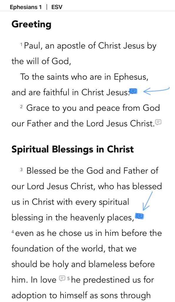 Screen shot of Ephesians in the Bible app.